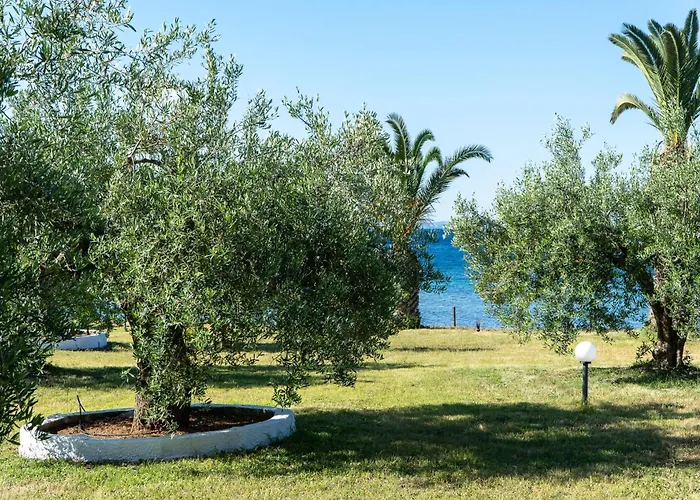 Afroditi Gasthuis 3*