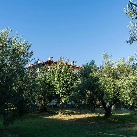 Afroditi 3* Jerakiní