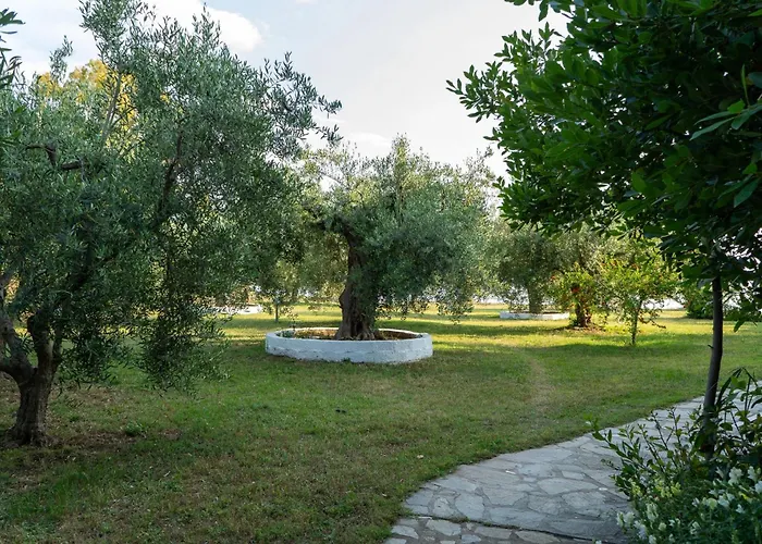 Pensionat Afroditi 3*